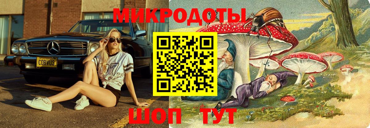 Галлюциногенные грибы Psilocybe  Псилоцибиновые грибы мицелий  Вход с VPN  Якутск 